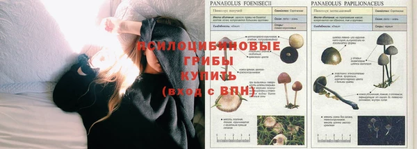mix Дмитров