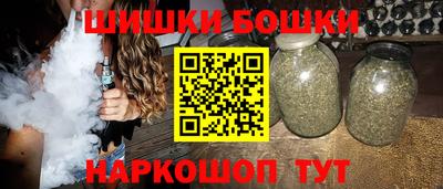спайс Гагарин