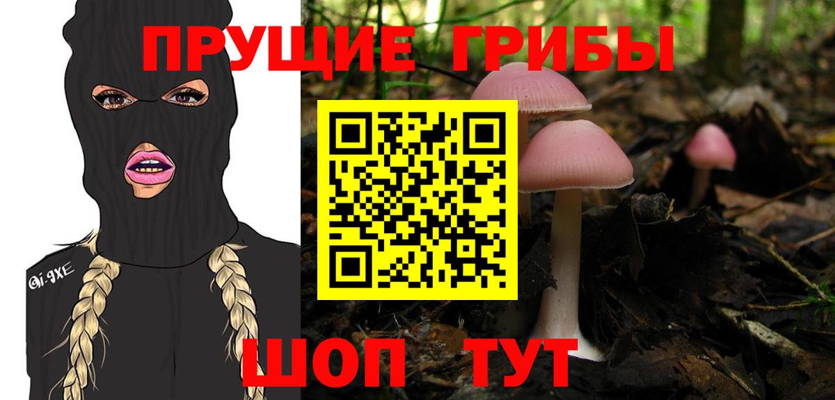 Югорск  Псилоцибиновые грибы Cubensis  наркошоп  Вход с VPN  Псилоцибиновые грибы ЛСД 